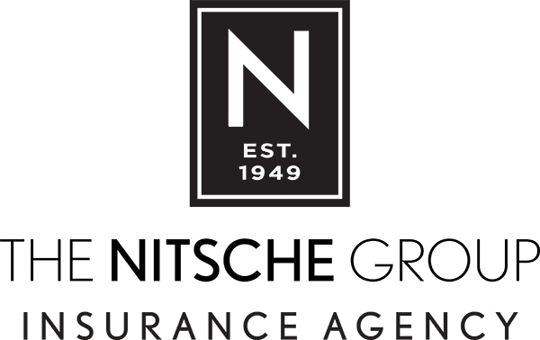 NitscheGroup Logo - 2023